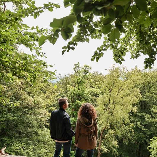 Luxushotel Seezeitlodge: Lassen Sie sich begeistern!