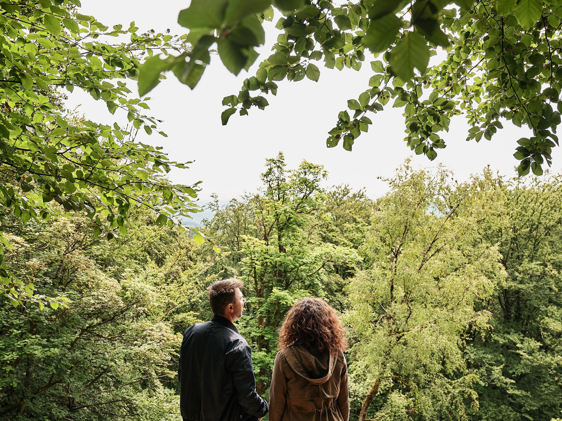 Paar steht im Wald und blickt auf Bäume und Natur