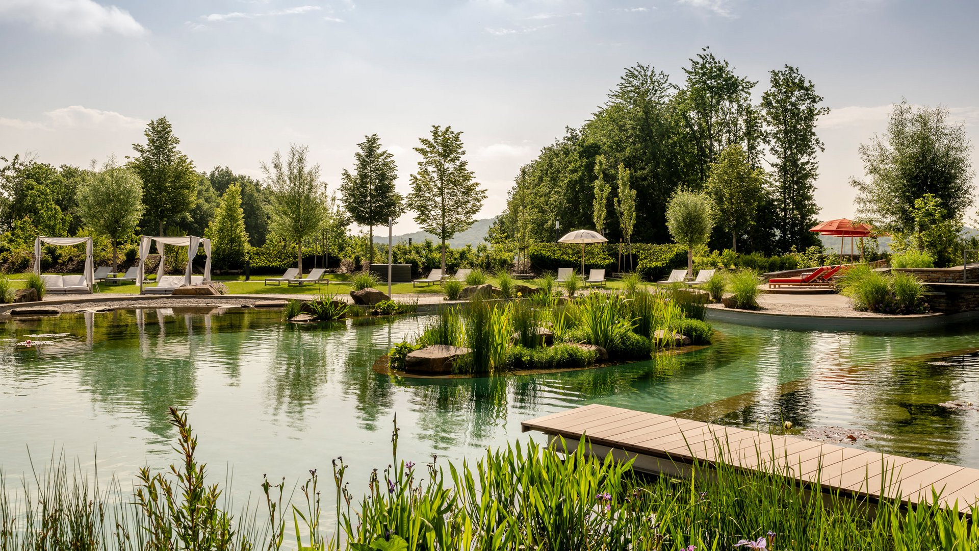 Natürlicher Schwimmteich mit Liegestühlen und Bäumen an einem sonnigen Tag