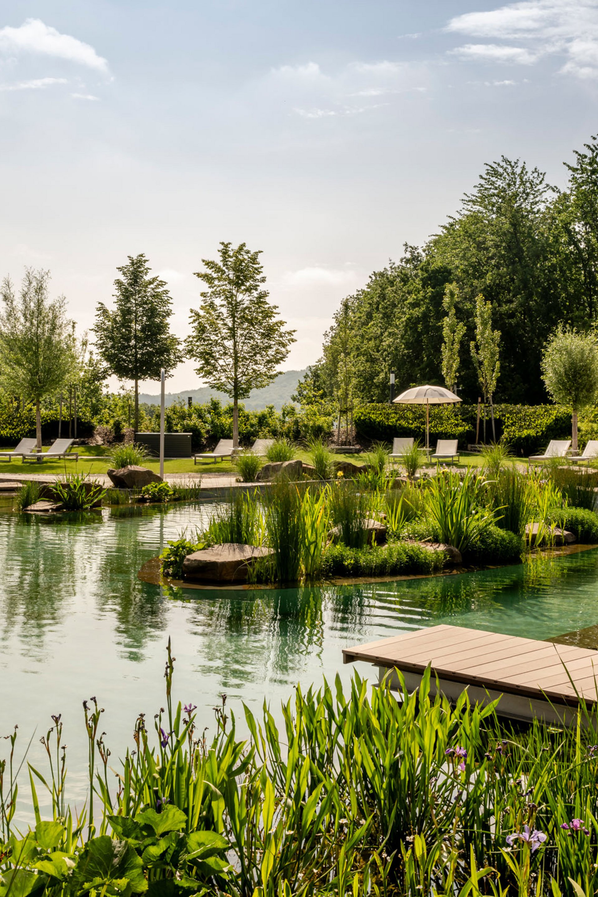 Natural swimming pond with loungers and trees on a sunny day