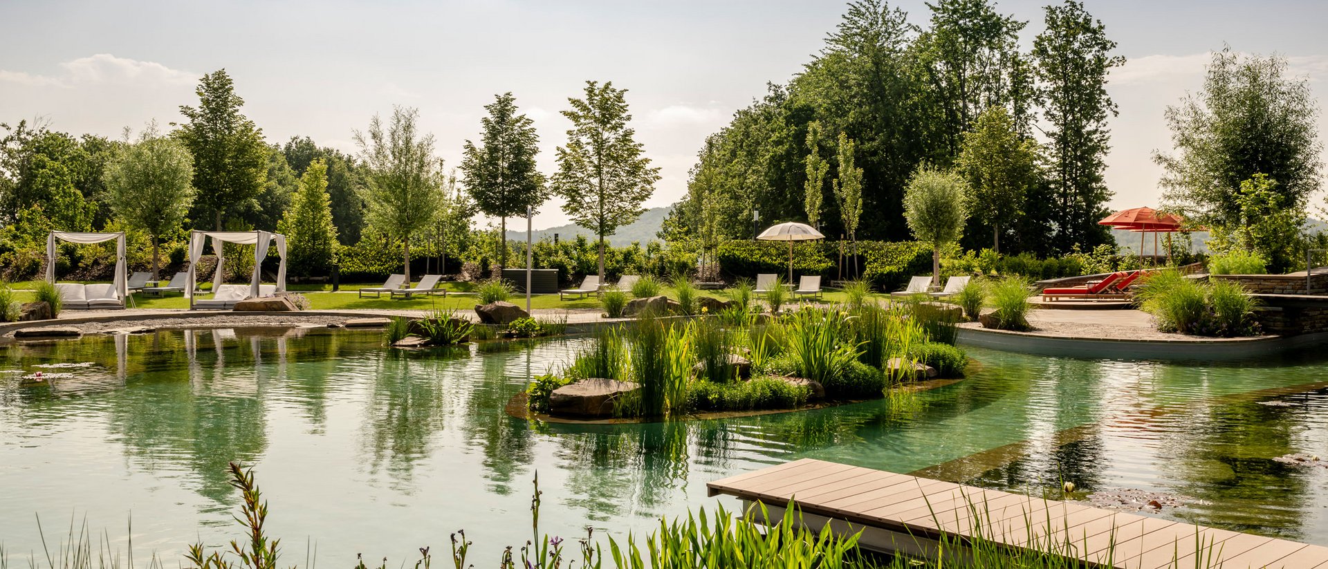 Natürlicher Schwimmteich mit Liegestühlen und Bäumen an einem sonnigen Tag