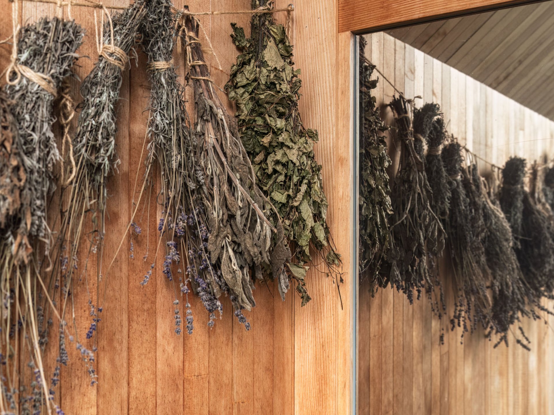 Getrocknete Kräuterbündel hängen an einer Holzwand mit Spiegel
