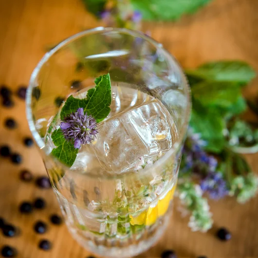 Seezeitlodge: unser Gin
