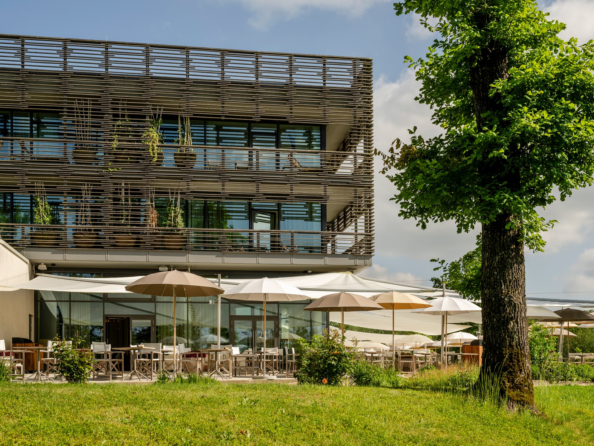 Bâtiment moderne avec terrasse et parasols dans un espace vert
