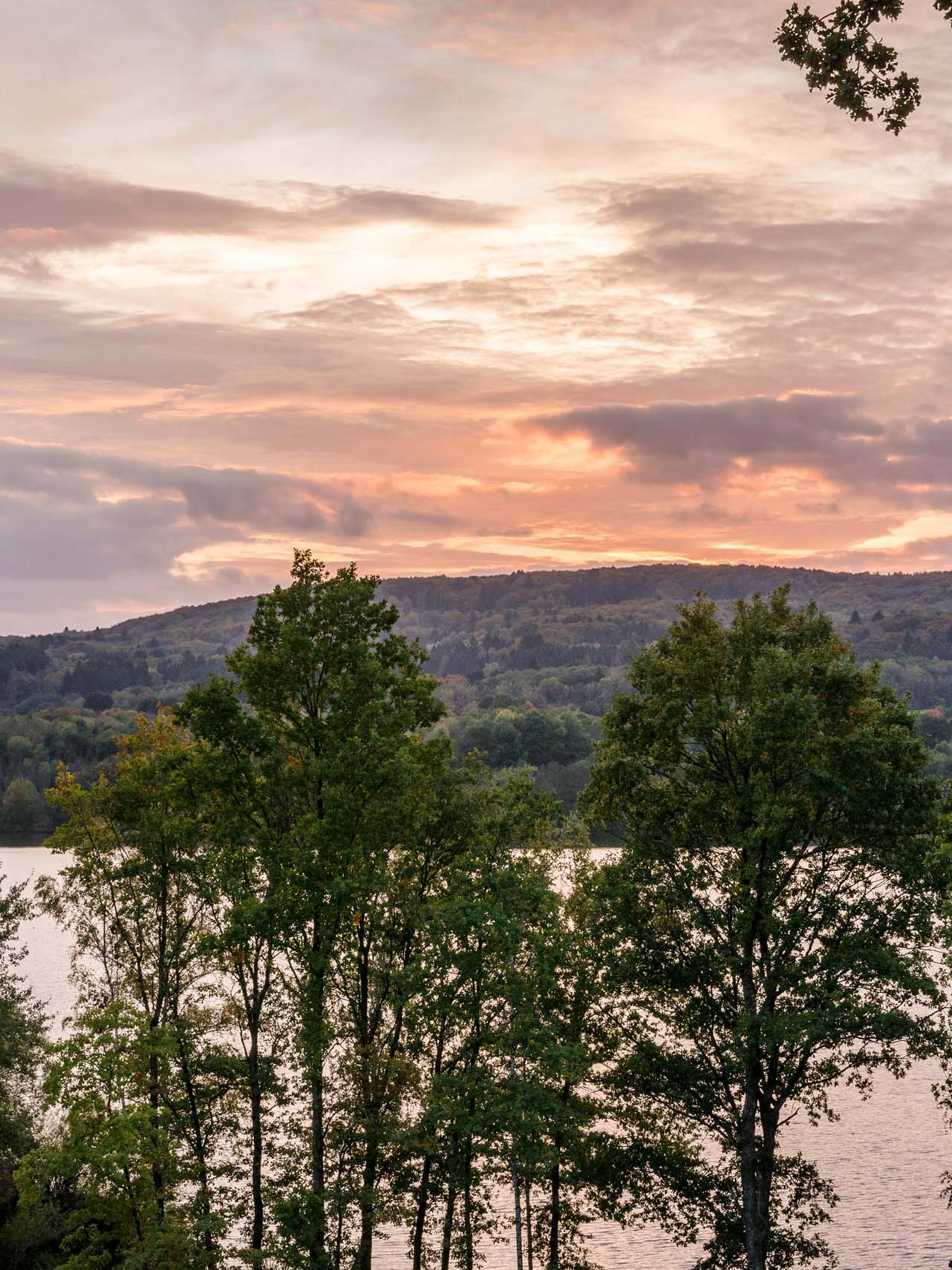 Trees in front of a lake at sunset with a cloudy sky