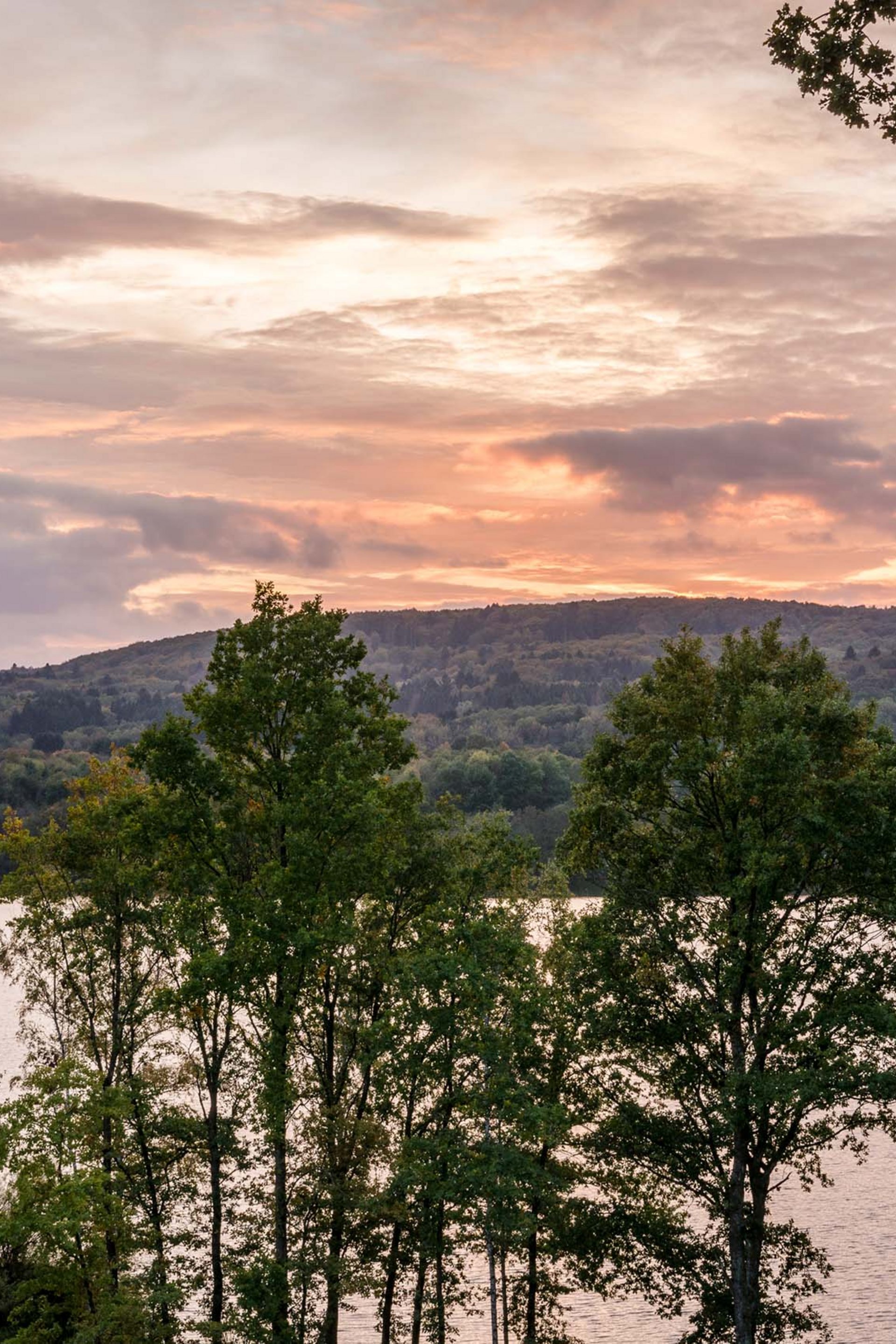 Trees in front of a lake at sunset with a cloudy sky