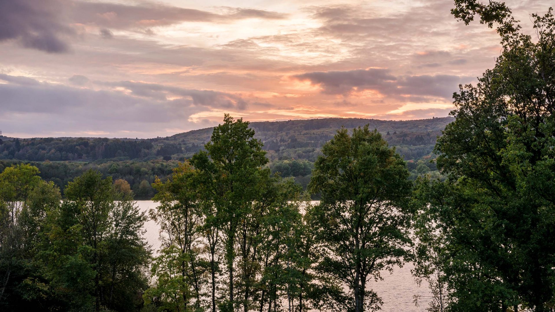 Bäume vor einem See bei Sonnenuntergang mit einem bewölkten Himmel