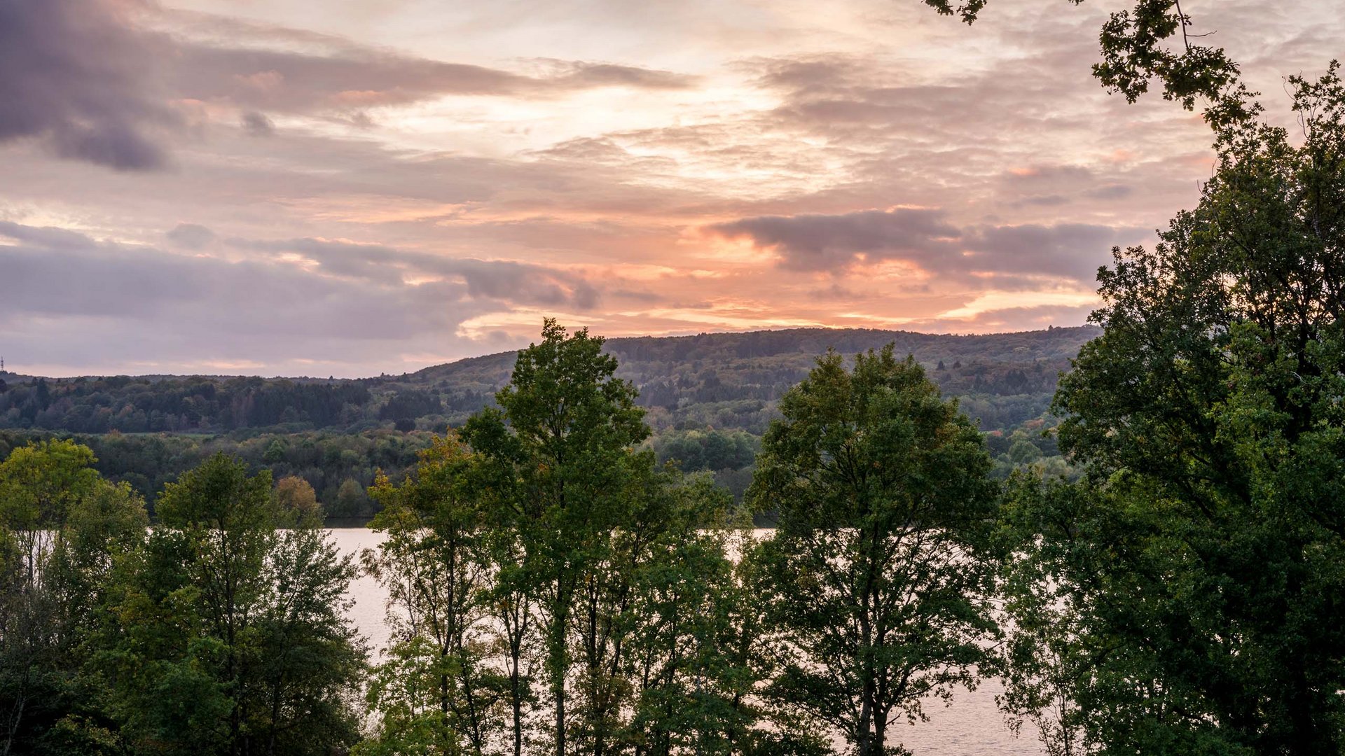 Trees in front of a lake at sunset with a cloudy sky