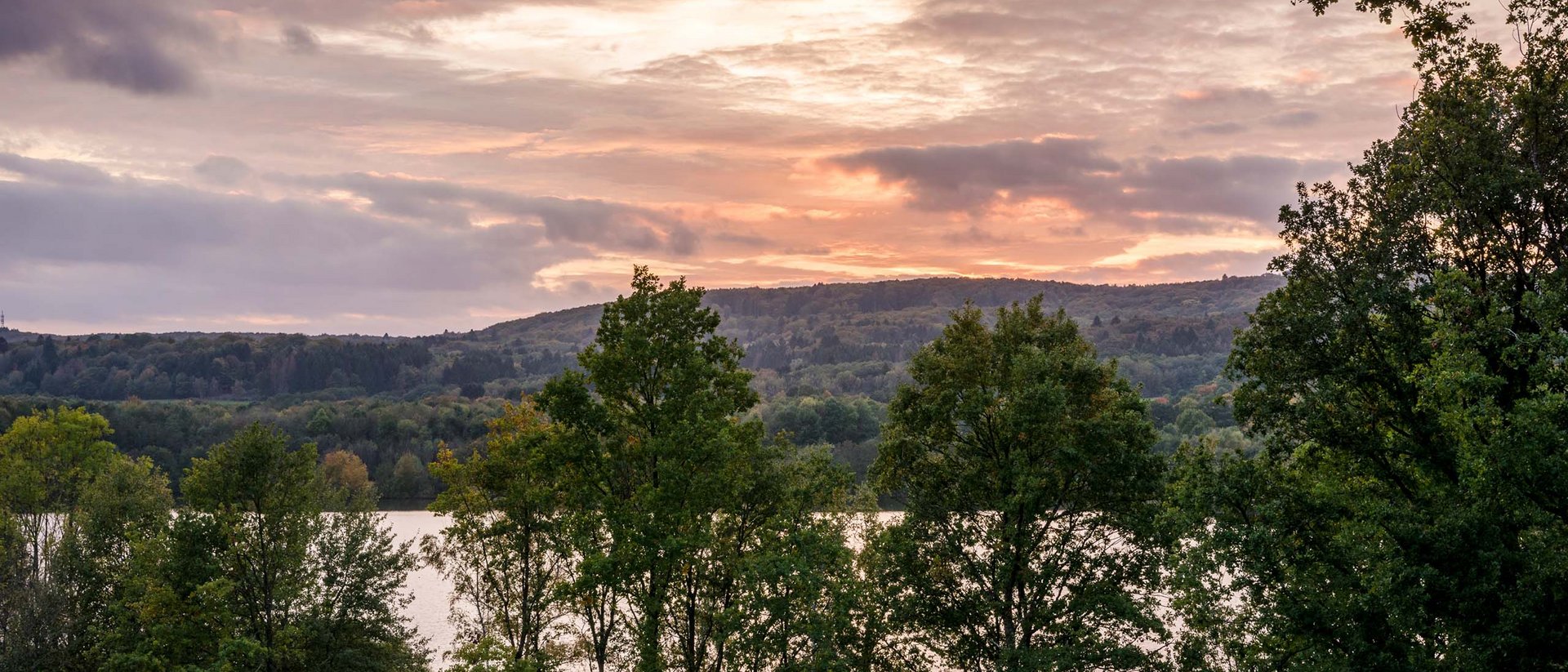 Trees in front of a lake at sunset with a cloudy sky
