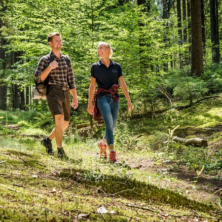 Couple happily hiking on a sunny forest trail