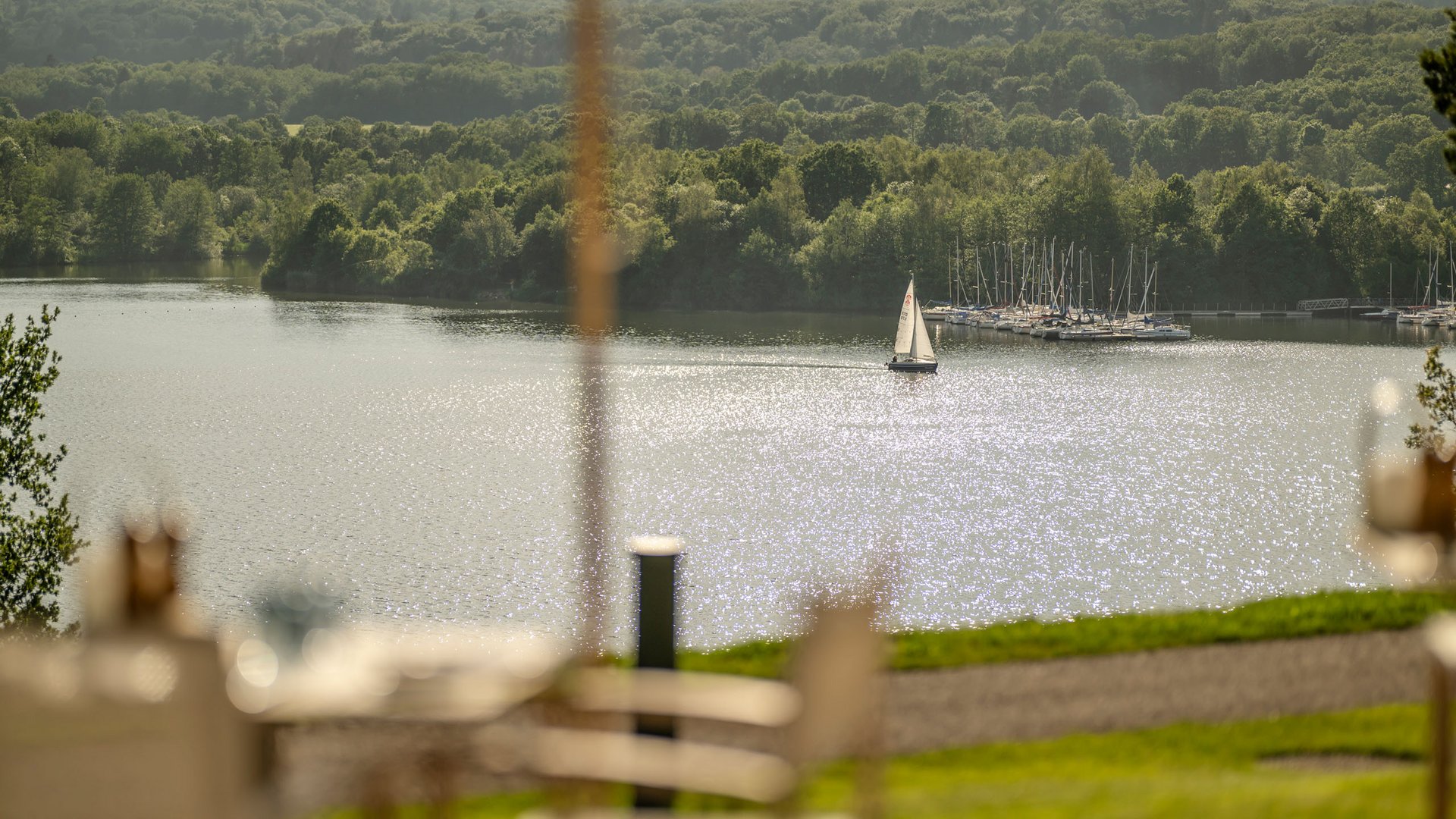 Seezeitlodge: Lieblingsgeschichten Segelboot auf funkelndem See mit Wald und Yachthafen im Hintergrund