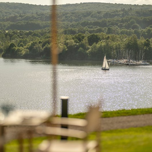 Sailboat on sparkling lake with forest and marina in the background