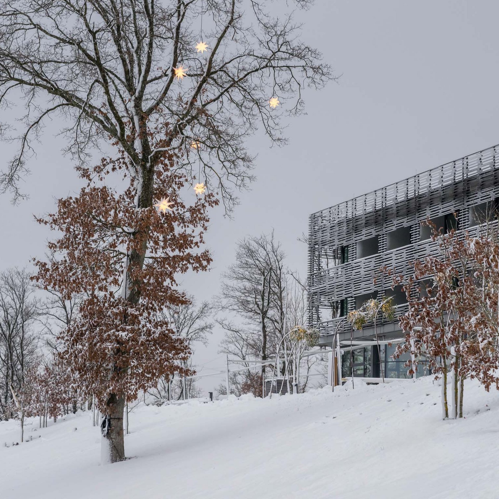 Verschneites modernes Gebäude neben einem kahlen Baum mit leuchtenden Sternen