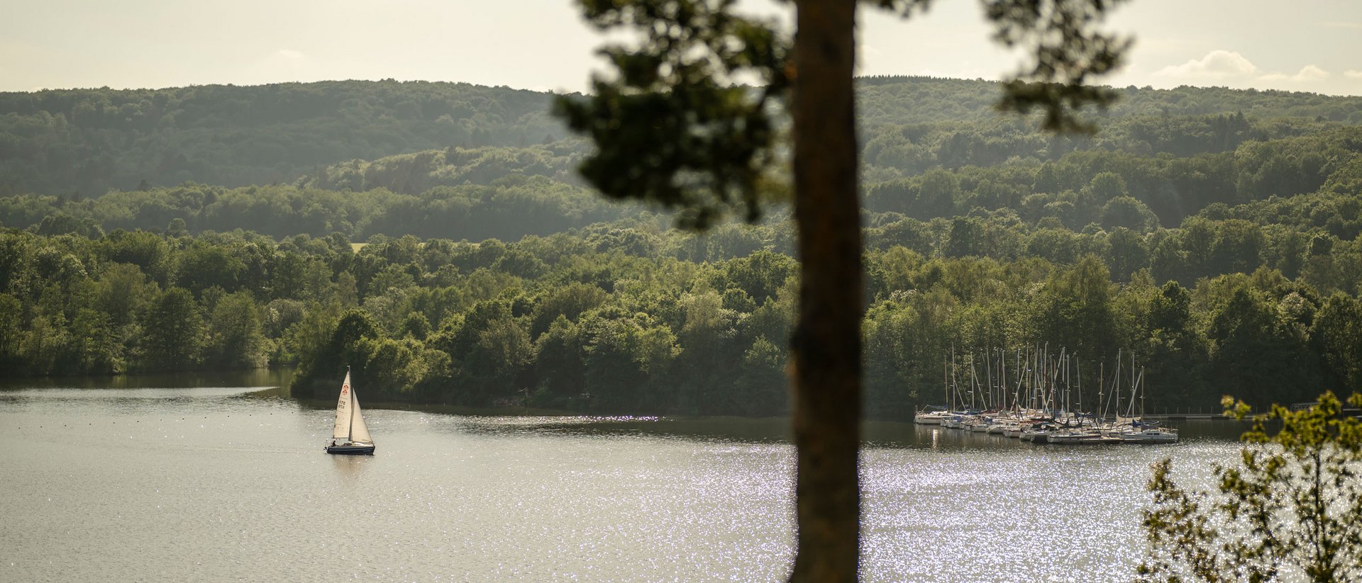 Voilier sur un lac scintillant avec forêt en arrière-plan
