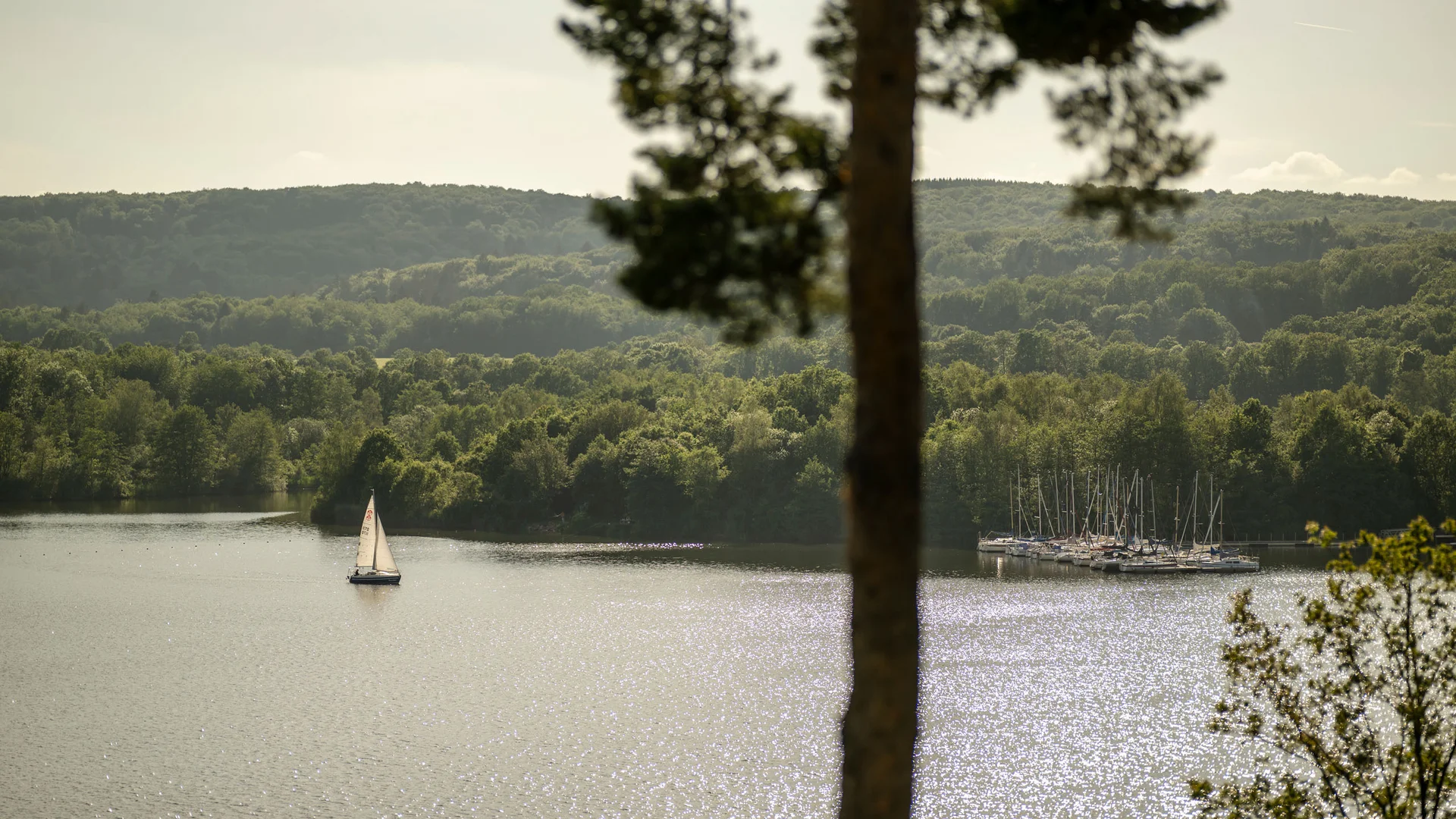 Urlaub am Bostalsee: die Highlights der Region