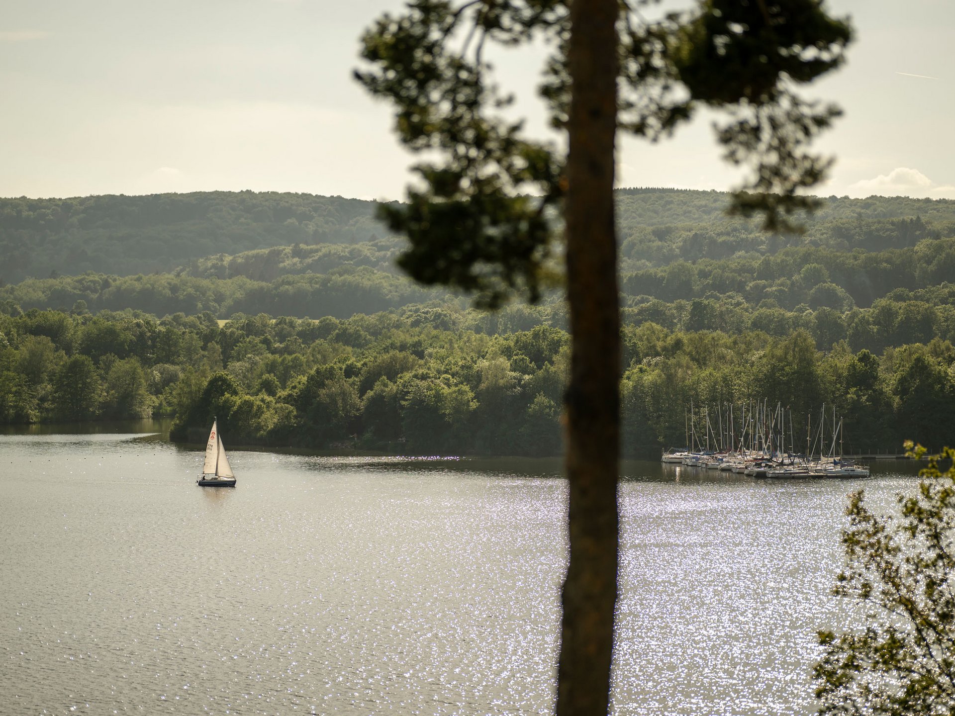 Segelboot auf glänzendem See mit bewaldetem Ufer im Hintergrund