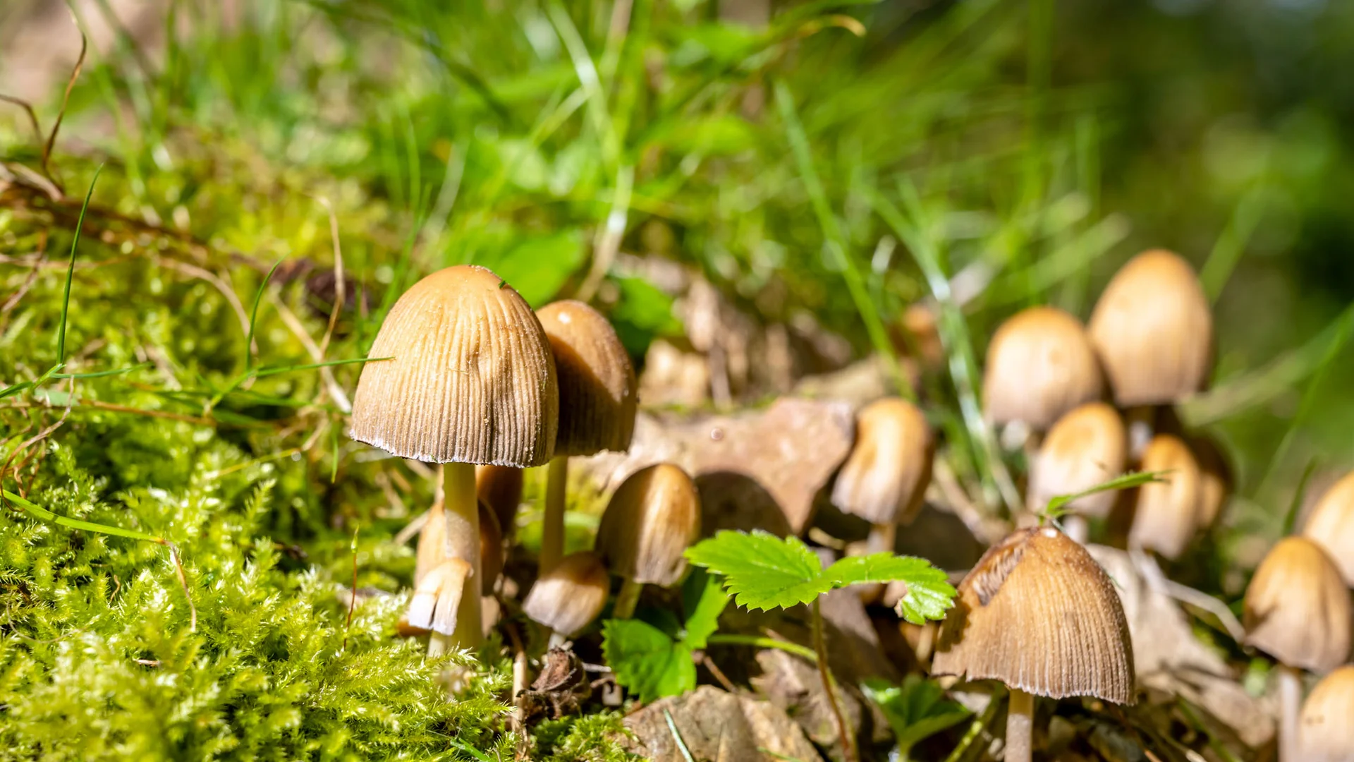 Zwischen See und Wald: Ihr nachhaltiges Hotel in Deutschland