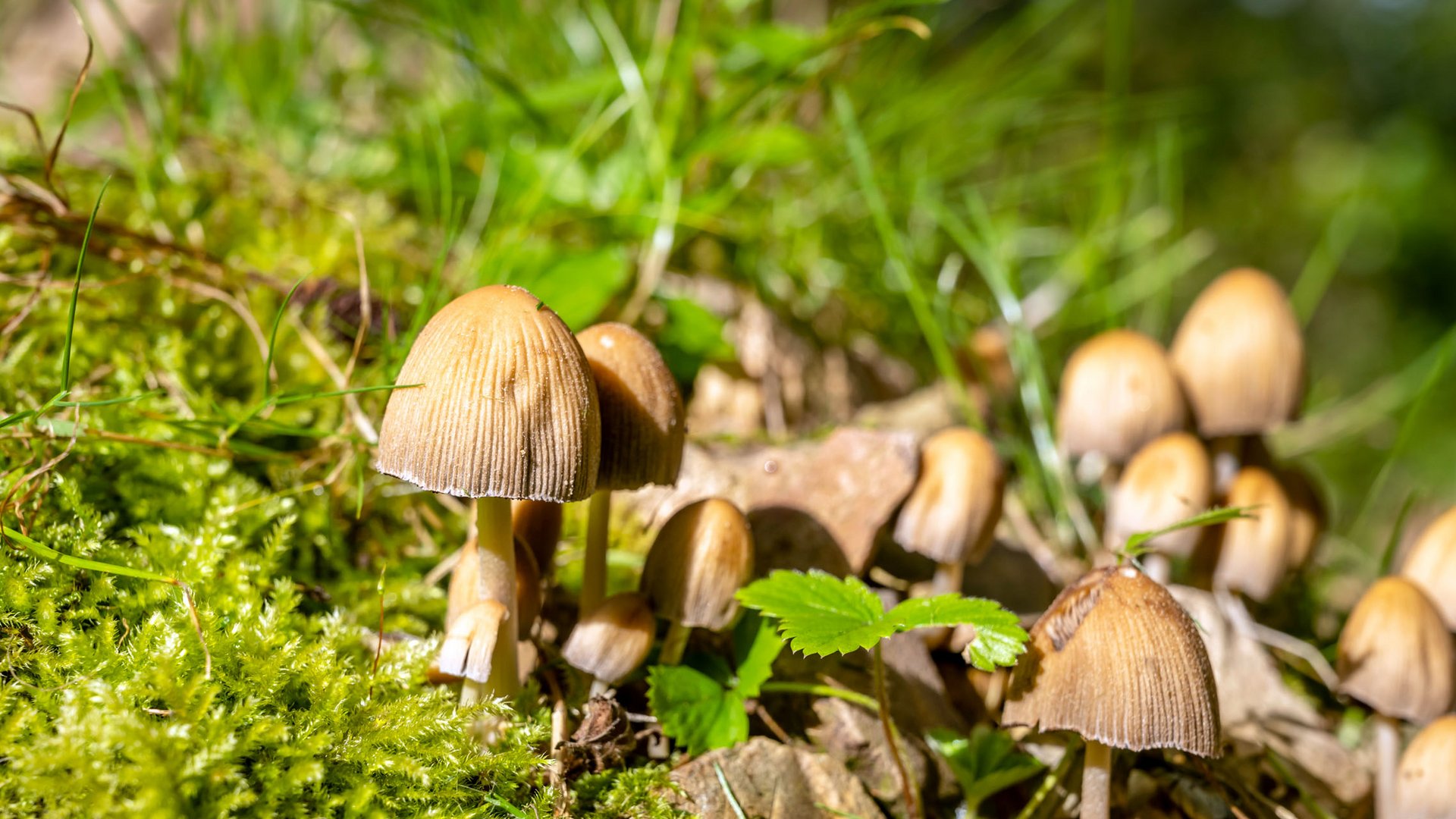 Zwischen See und Wald: Ihr nachhaltiges Hotel in Deutschland
