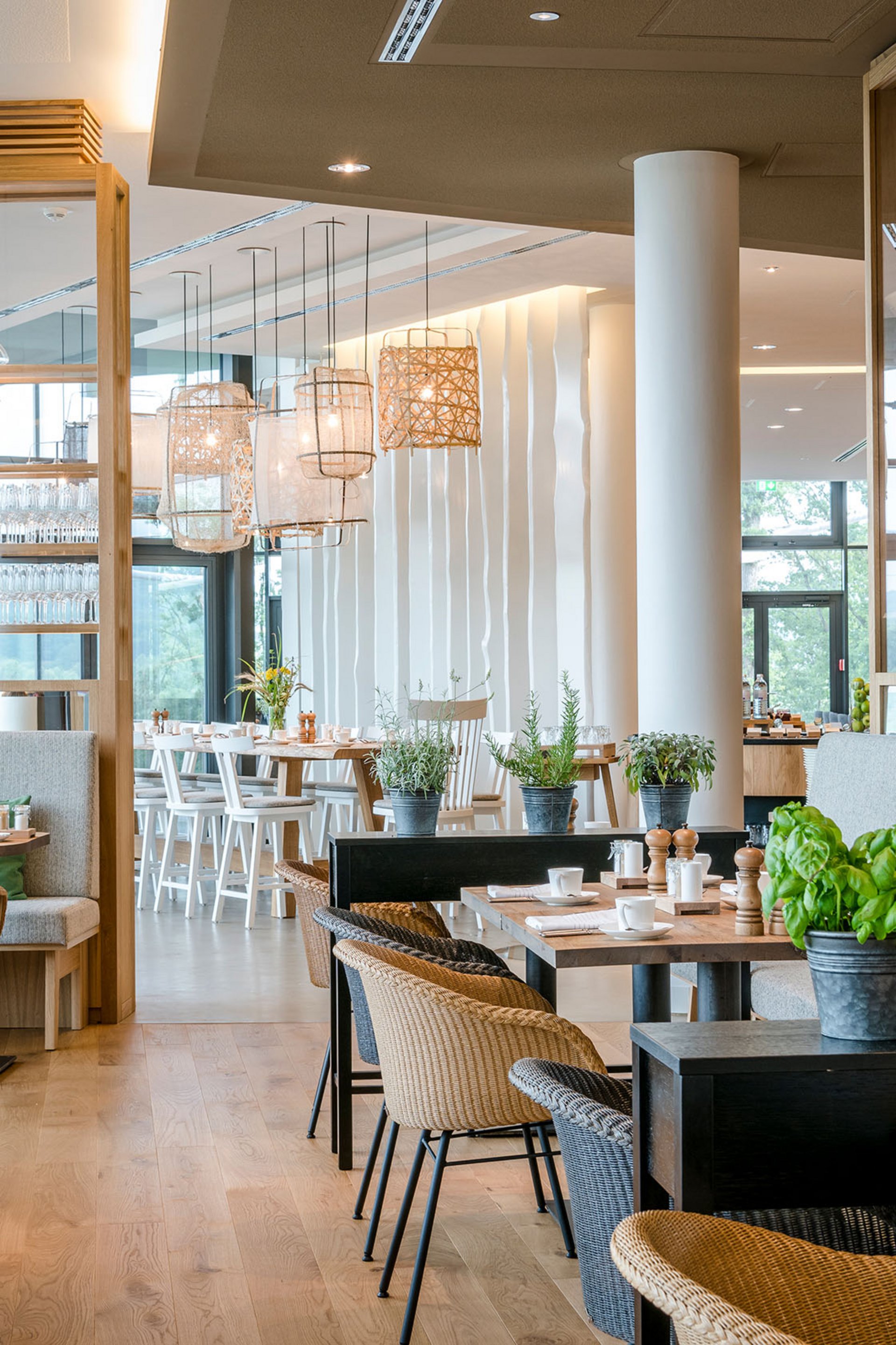 Hell eingerichtetes modernes Restaurant mit Pflanzen auf Tischen und Sitzbänken
