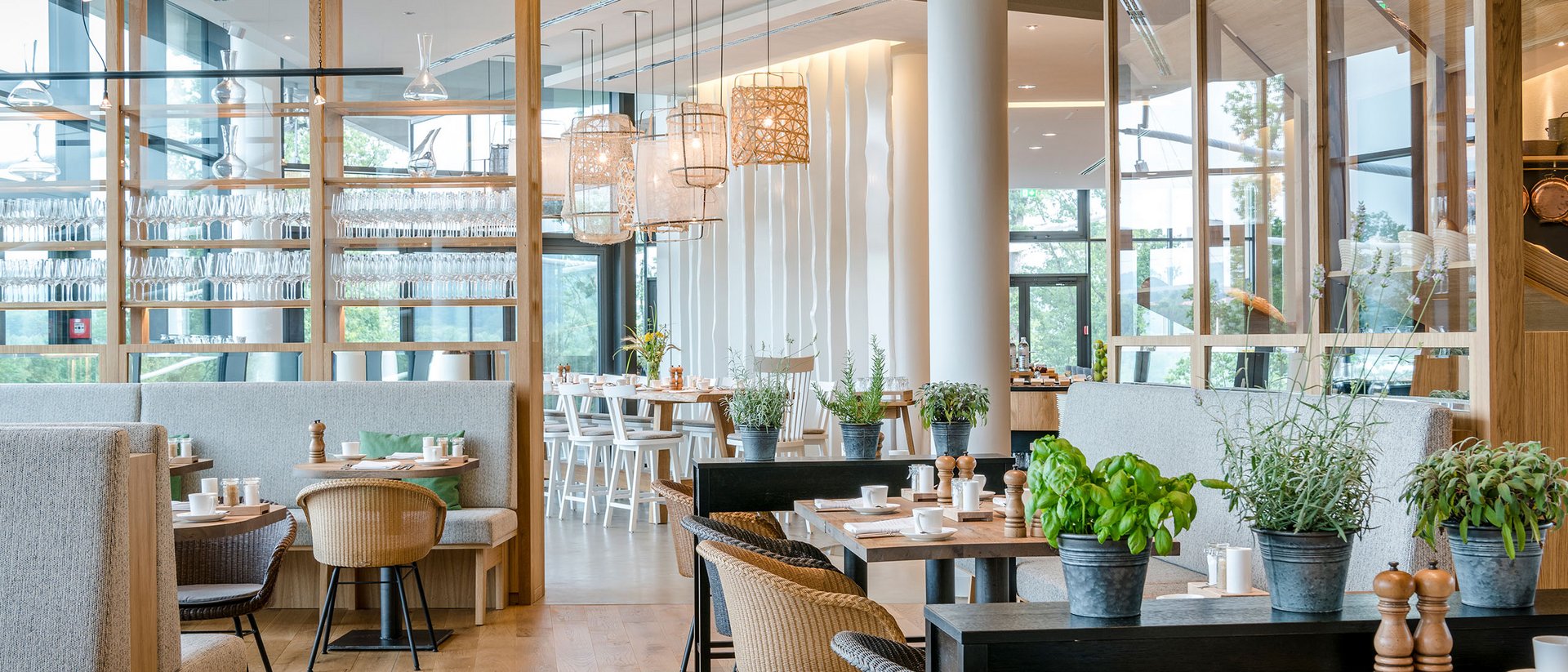 Hell eingerichtetes modernes Restaurant mit Pflanzen auf Tischen und Sitzbänken