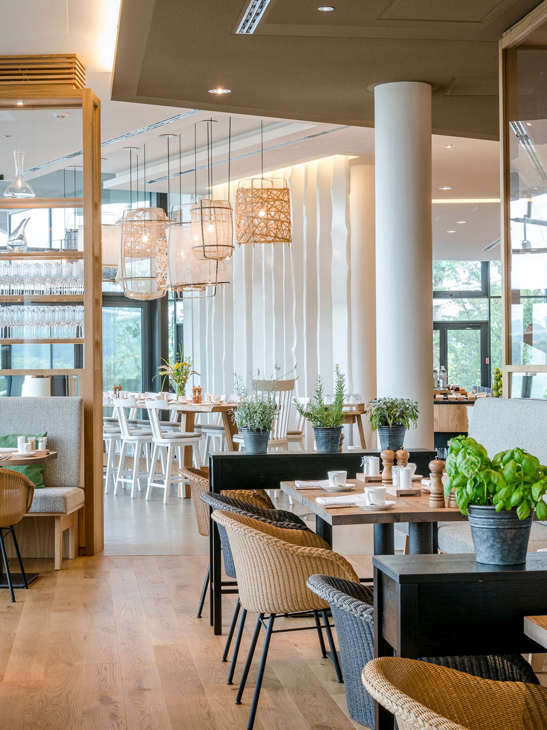 Restaurant moderne lumineux avec plantes sur les tables et sièges confortables