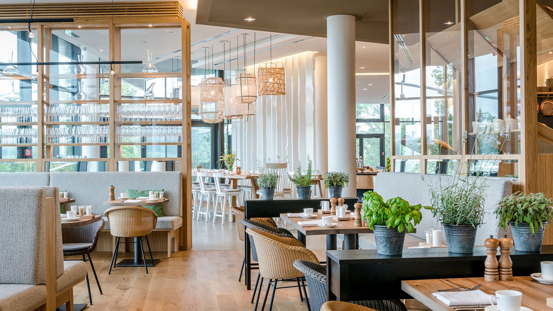 Hell eingerichtetes modernes Restaurant mit Pflanzen auf Tischen und Sitzbänken