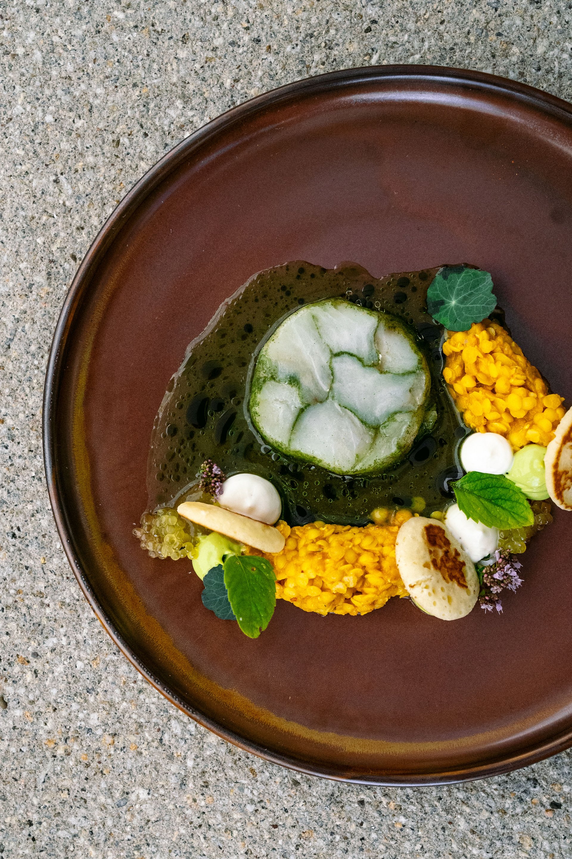 Künstlerisch angerichtetes Gericht mit grüner Soße, gelben Linsen und Kräutern auf braunem Teller