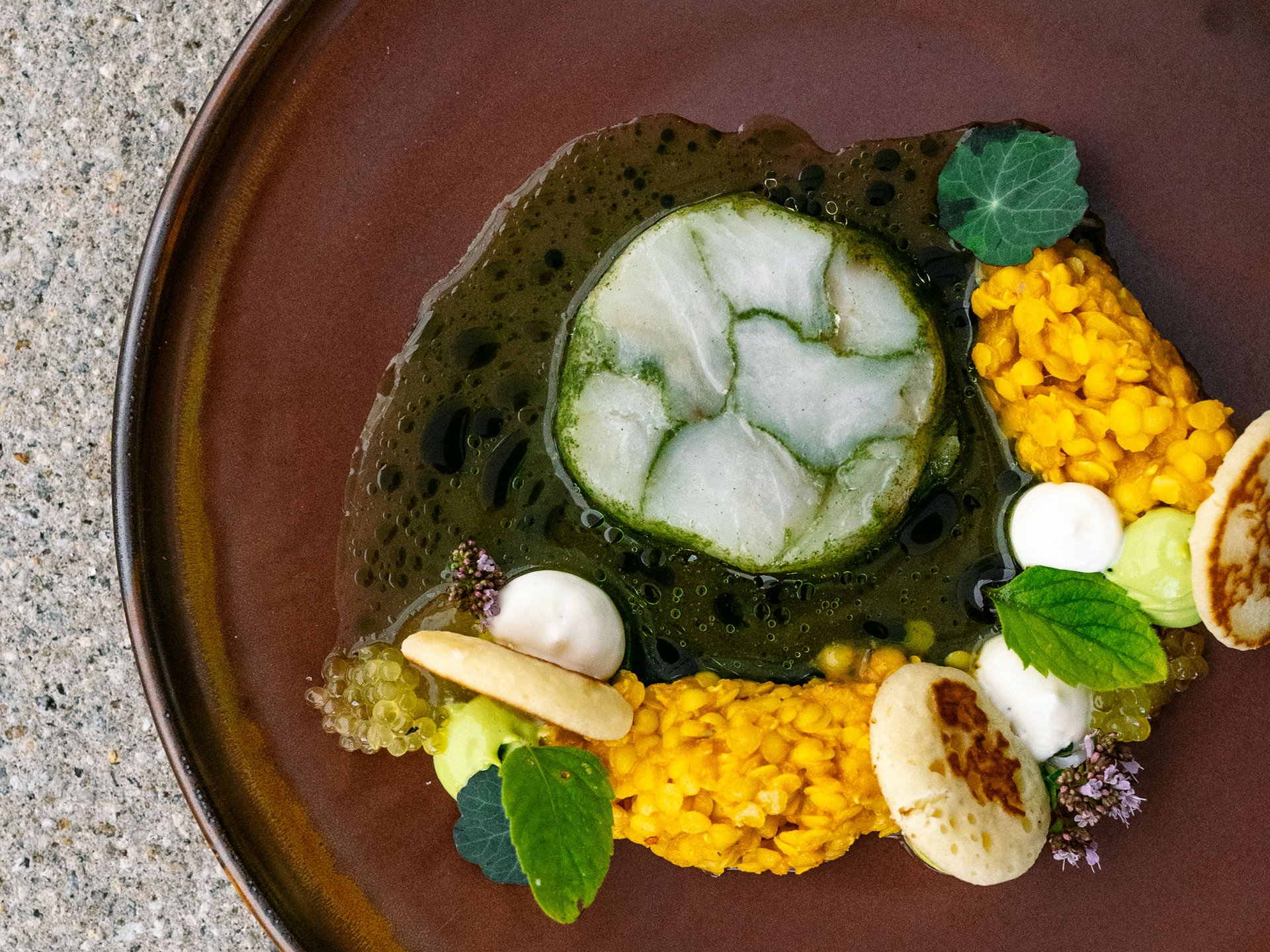 Artistic dish with green sauce, yellow lentils, herbs on a brown plate