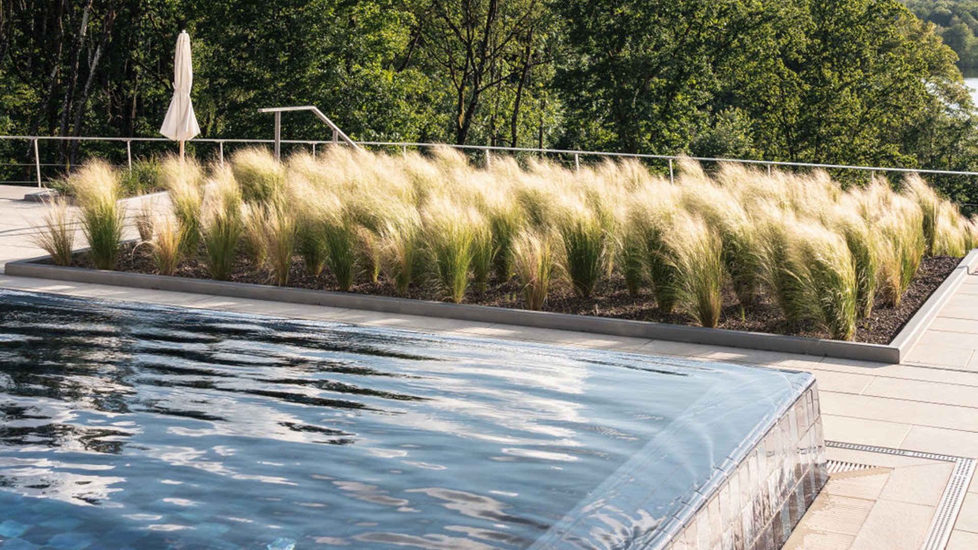 Infinity-Pool mit fließendem Wasser und Gräsern vor Bäumen bei Sonnenlicht