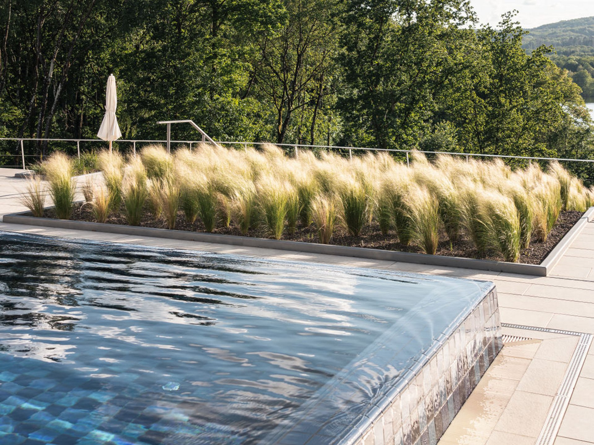 Infinity-Pool mit fließendem Wasser und Gräsern vor Bäumen bei Sonnenlicht