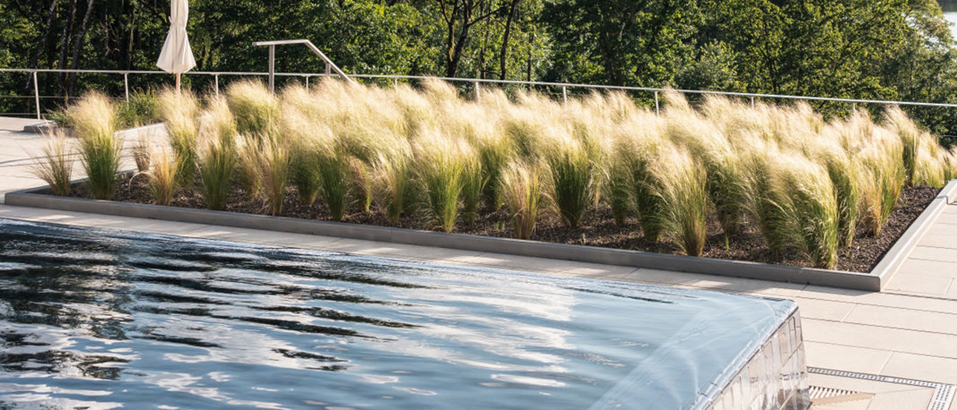 Infinity-Pool mit fließendem Wasser und Gräsern vor Bäumen bei Sonnenlicht