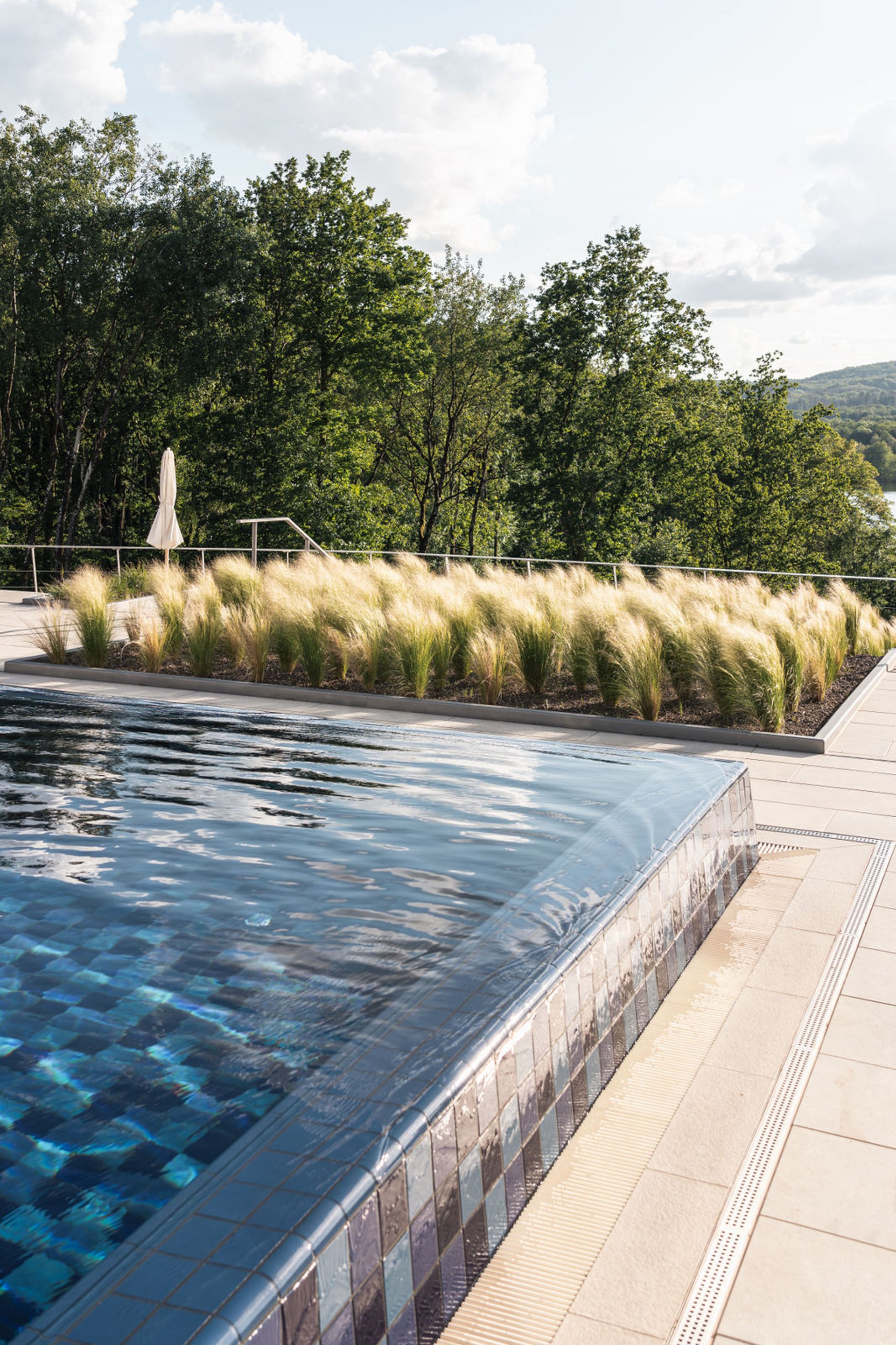Piscine à débordement avec eau coulant et herbes devant des arbres sous la lumière du soleil