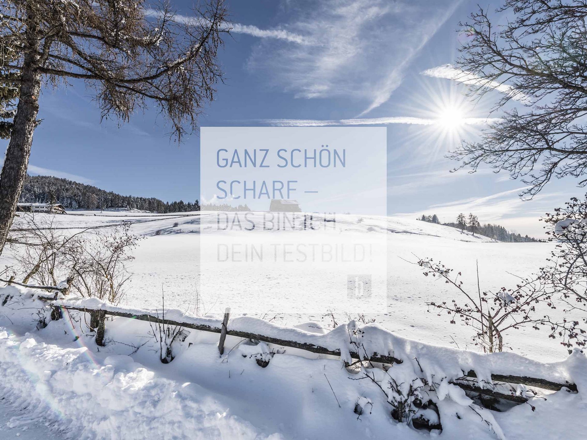 Winter