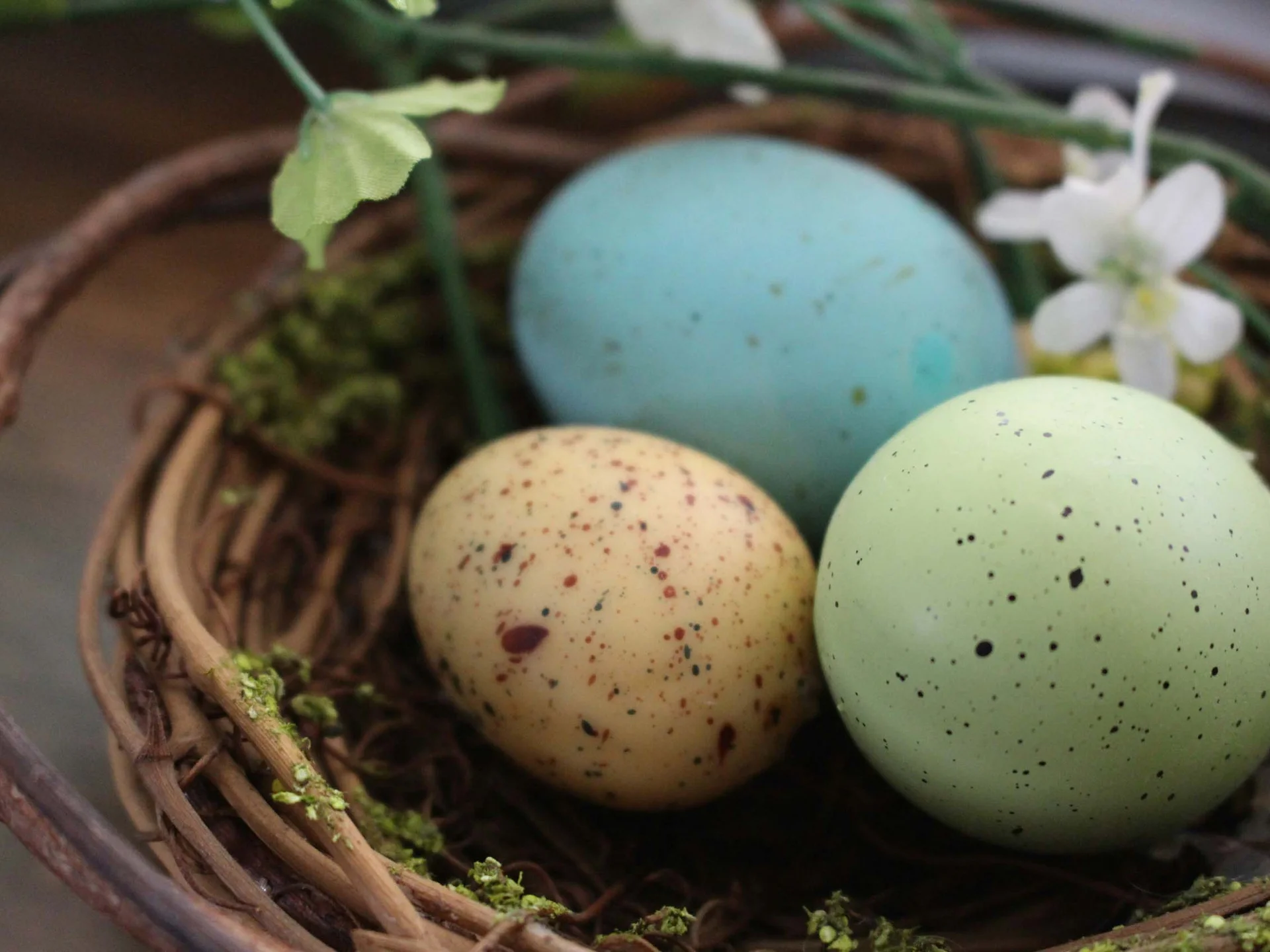 Ostara: Keltische Feiertage Porträt - Blog