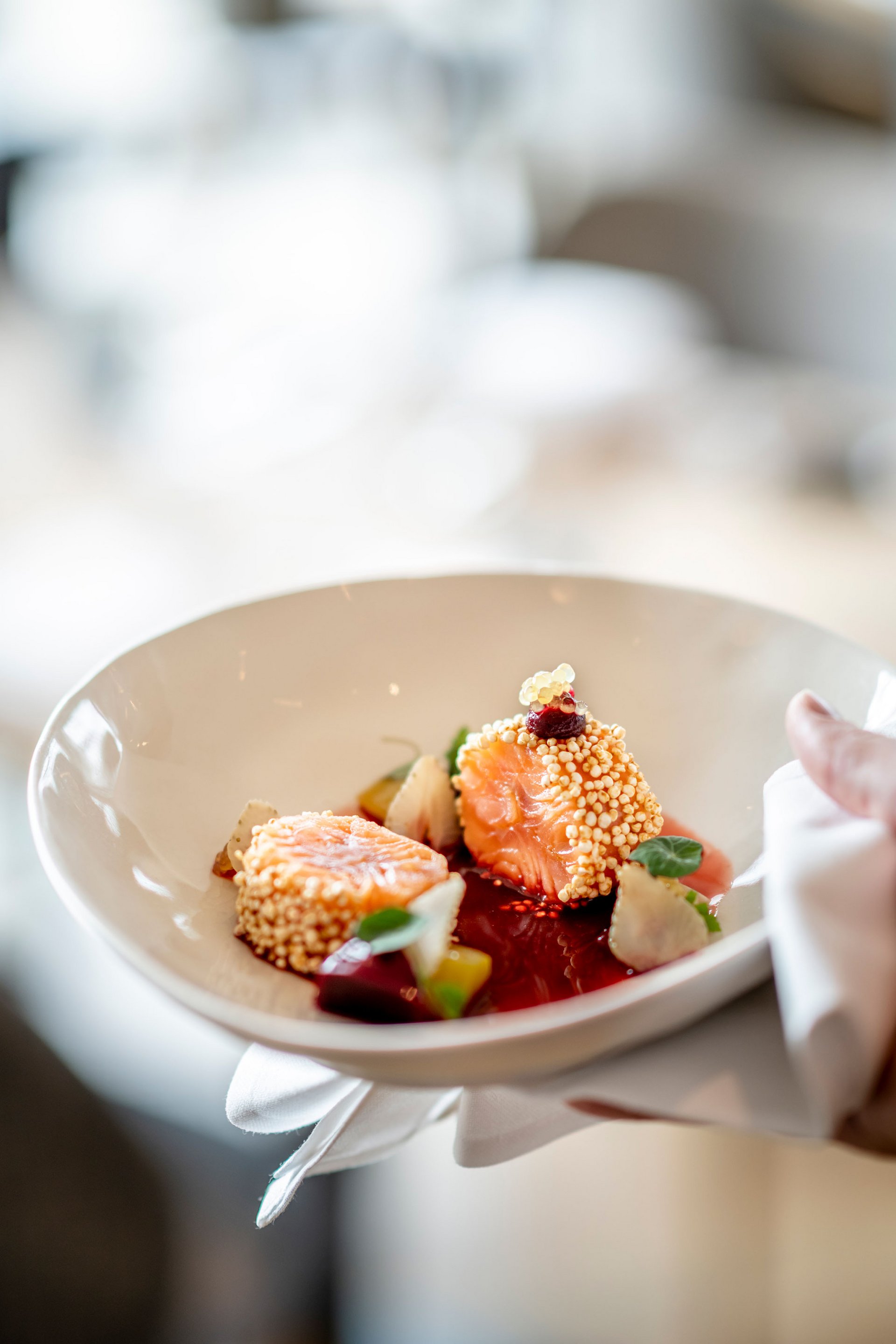 Morçeaux de saumon délicats avec sauce et garniture dans une assiette blanche