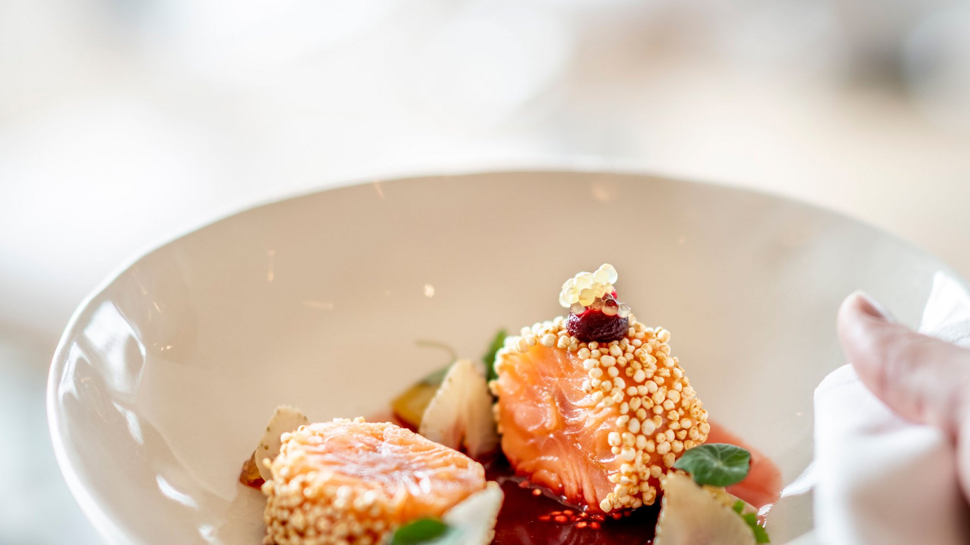 Delicate salmon pieces with sauce and garnish on a white plate