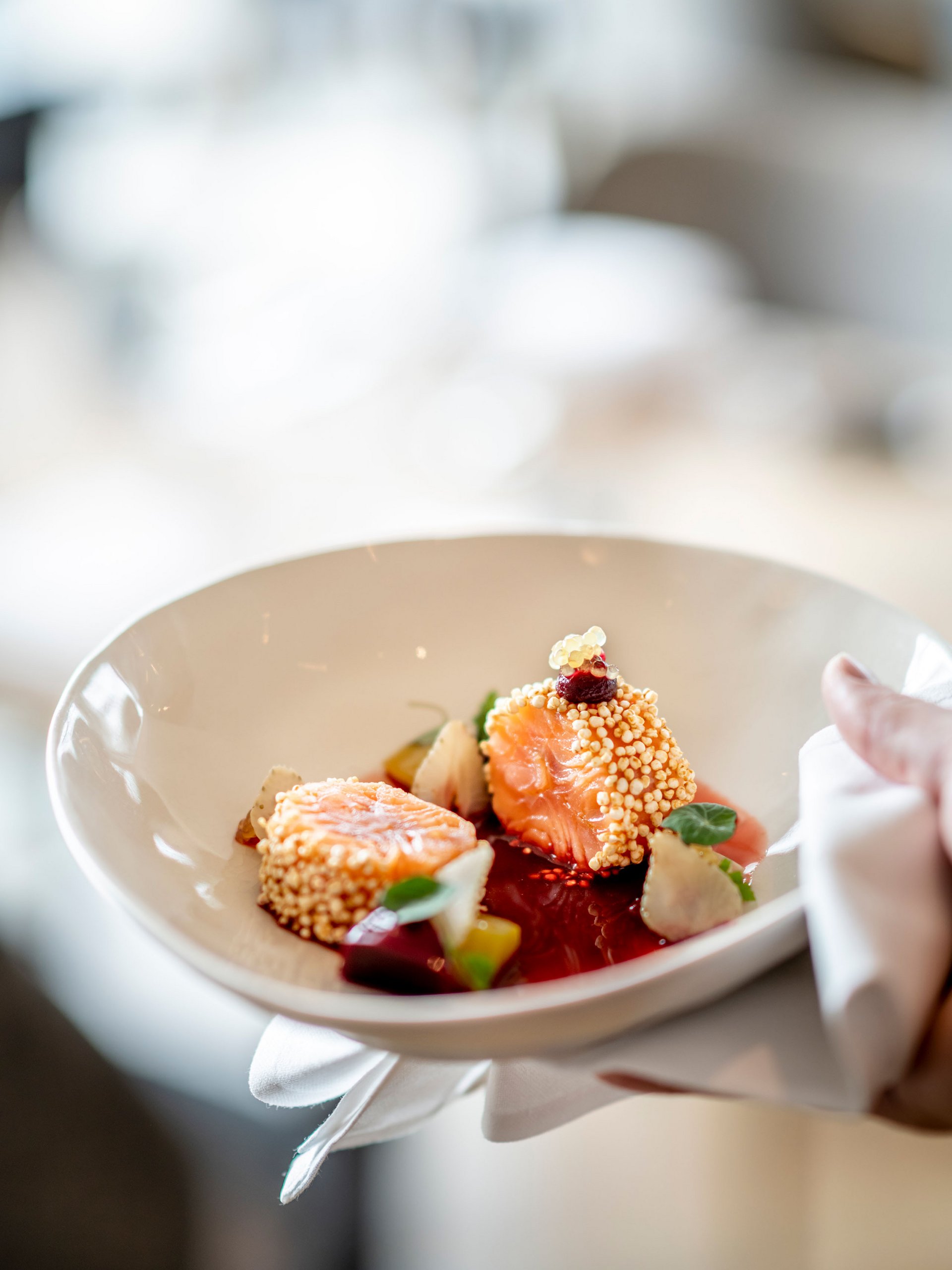 Morçeaux de saumon délicats avec sauce et garniture dans une assiette blanche