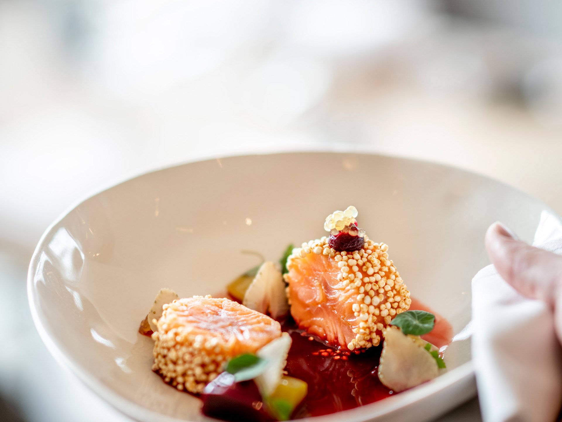 Morçeaux de saumon délicats avec sauce et garniture dans une assiette blanche