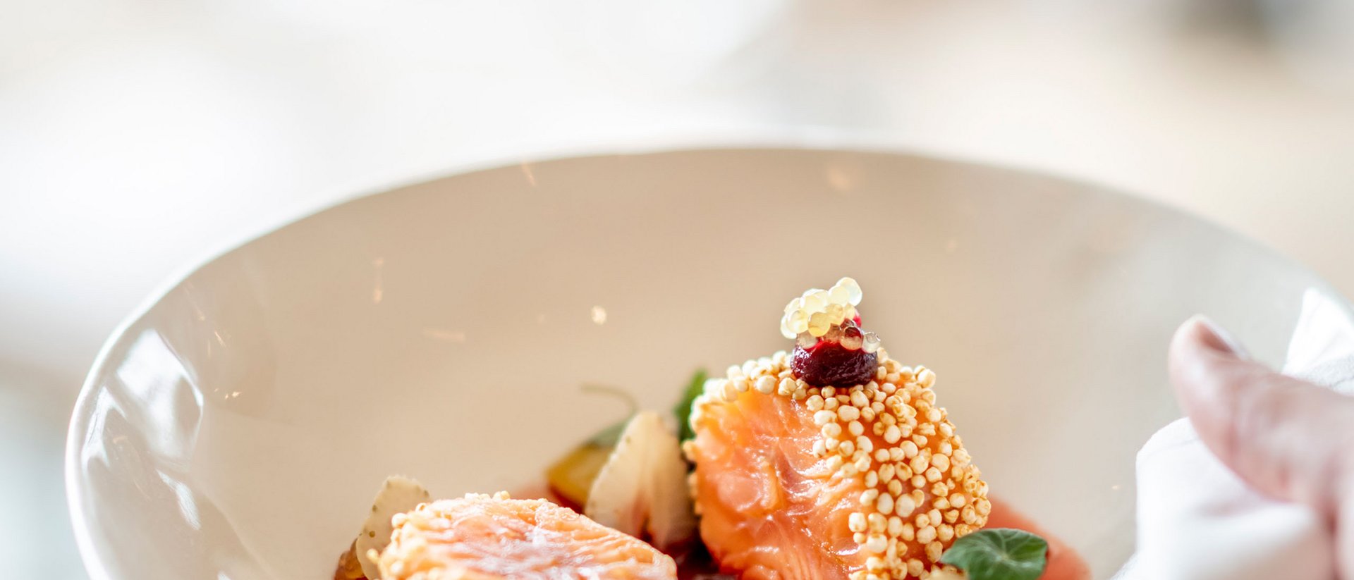 Delicate salmon pieces with sauce and garnish on a white plate