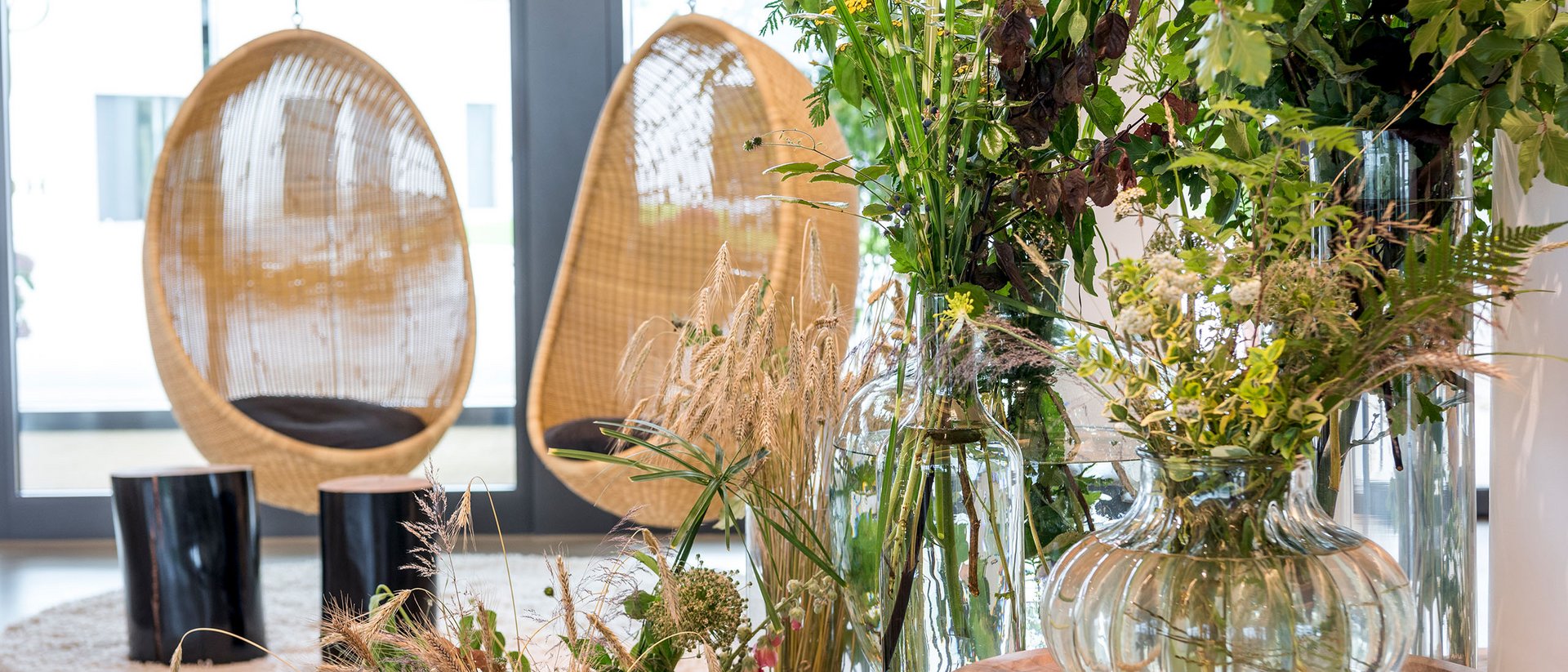 Intérieur moderne avec vases en verre et plantes près de fauteuils suspendus en osier