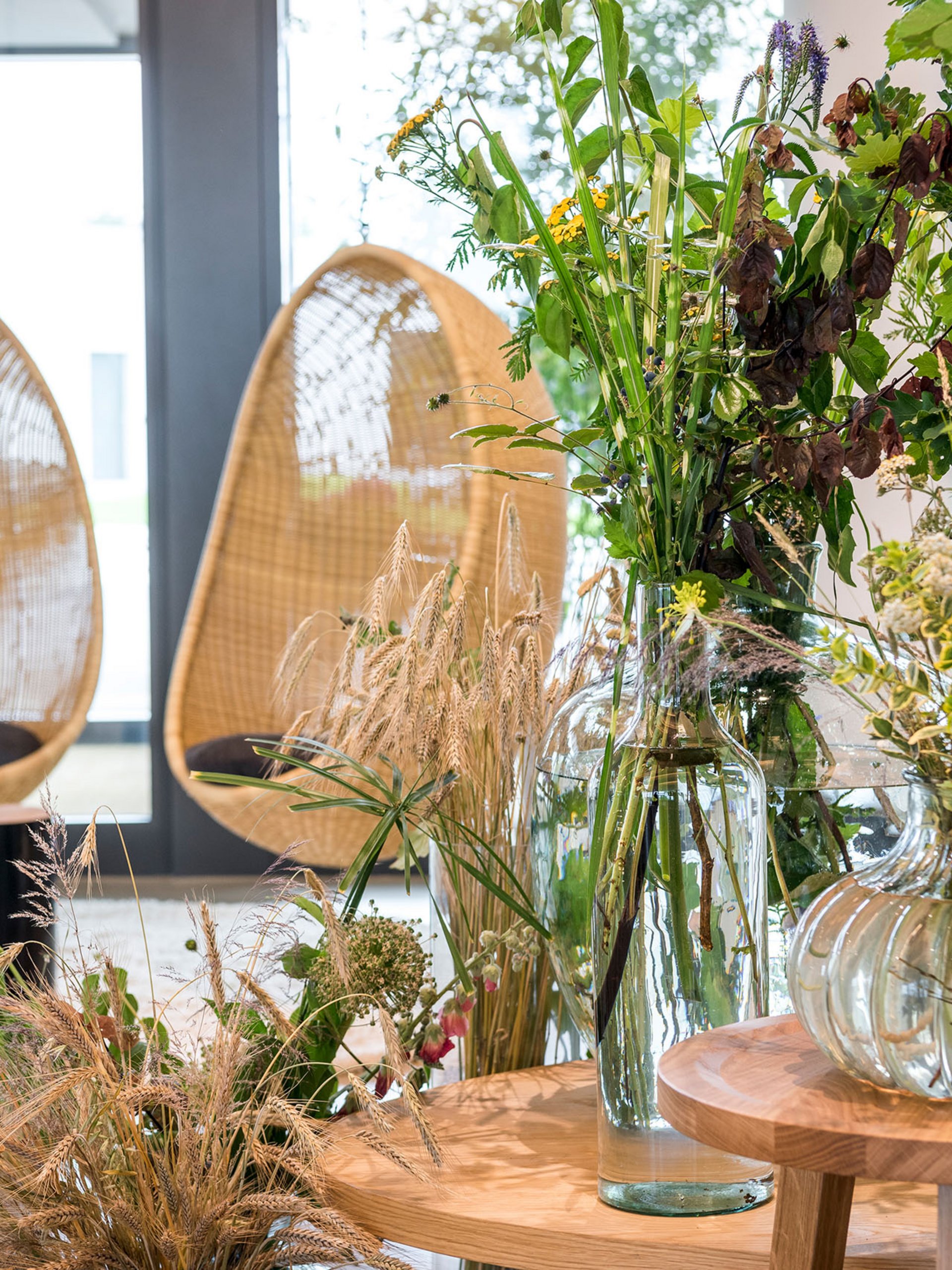 Modern interior with glass vases and plants beside woven hanging chairs