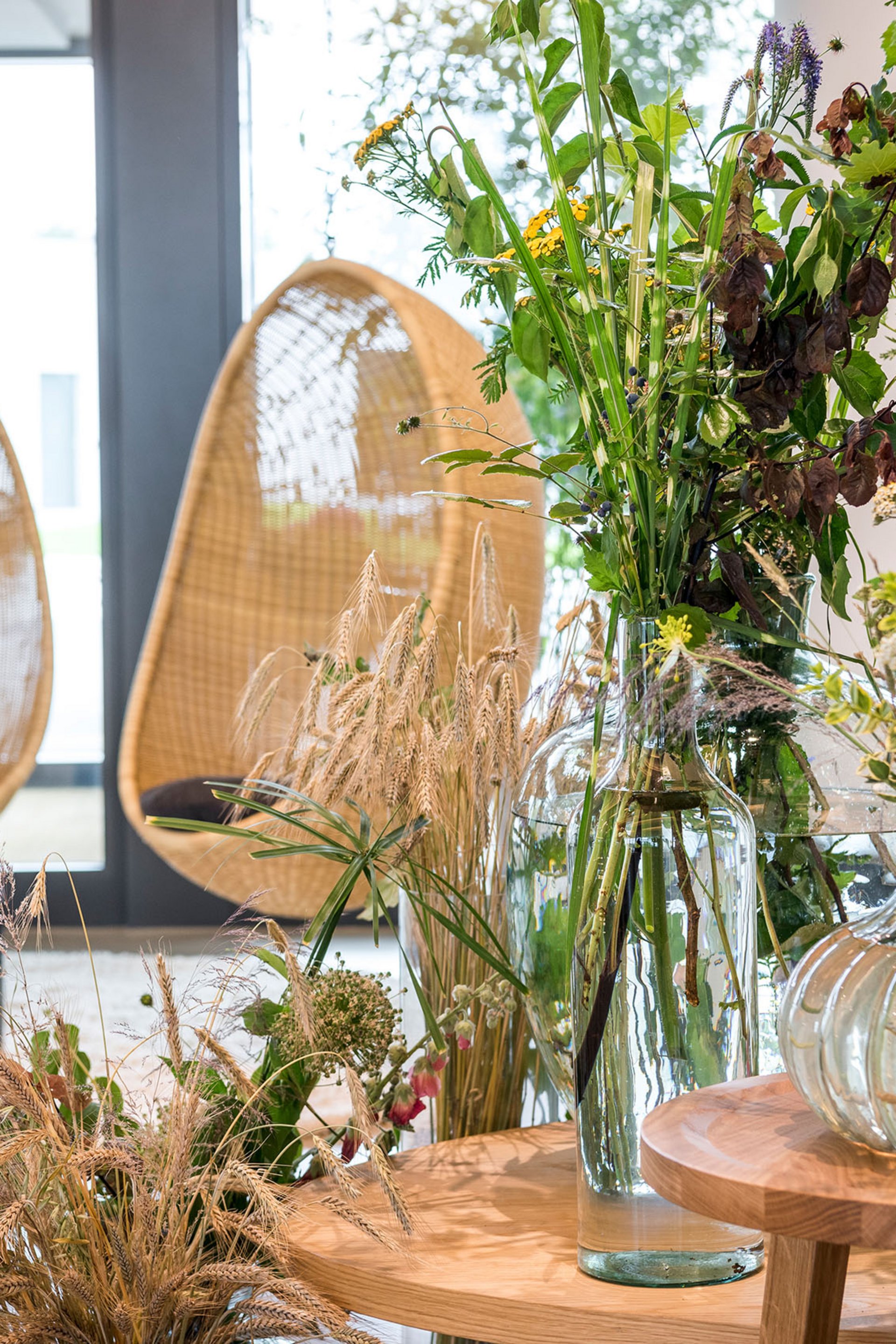 Intérieur moderne avec vases en verre et plantes près de fauteuils suspendus en osier