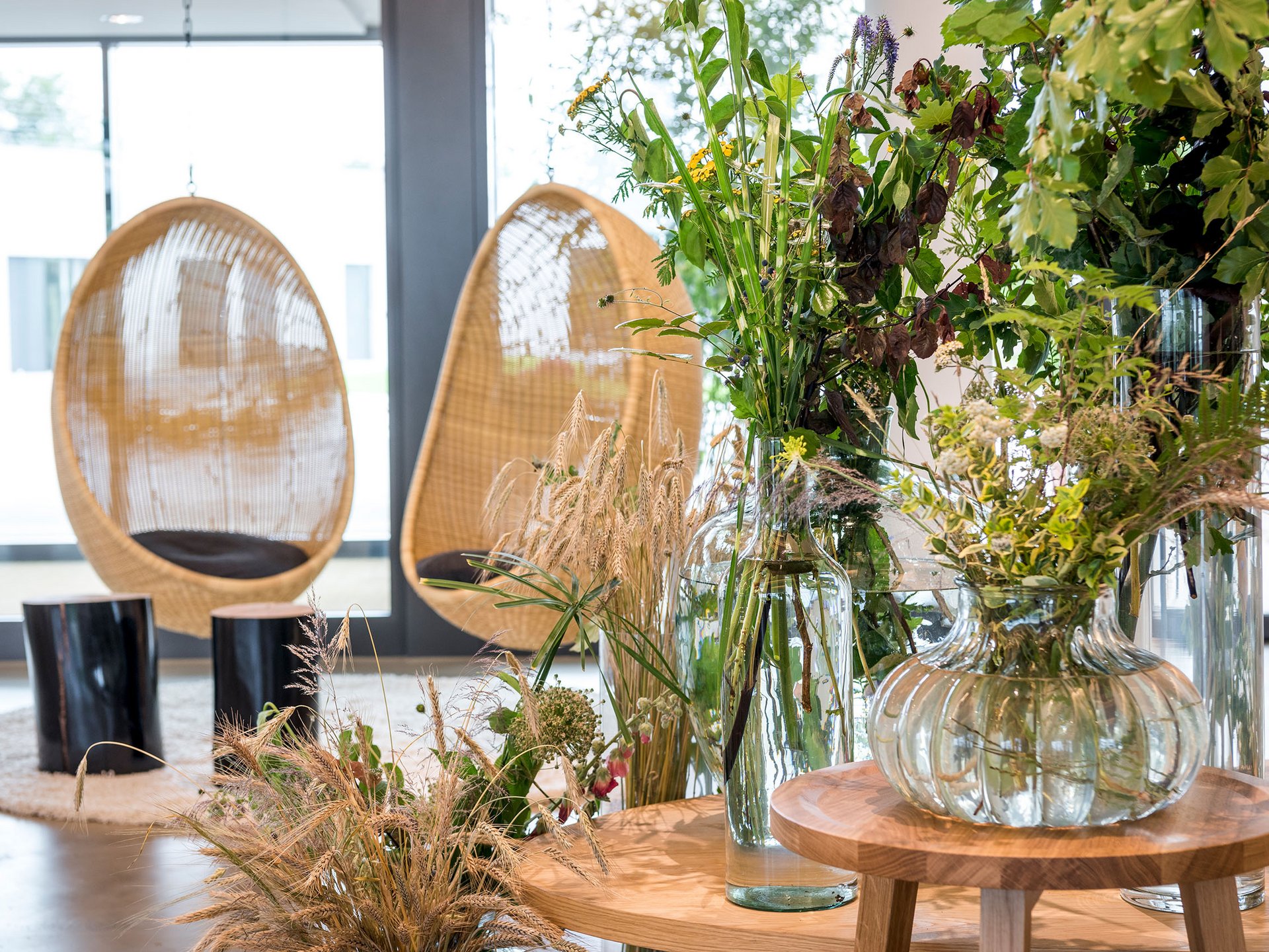 Modern interior with glass vases and plants beside woven hanging chairs