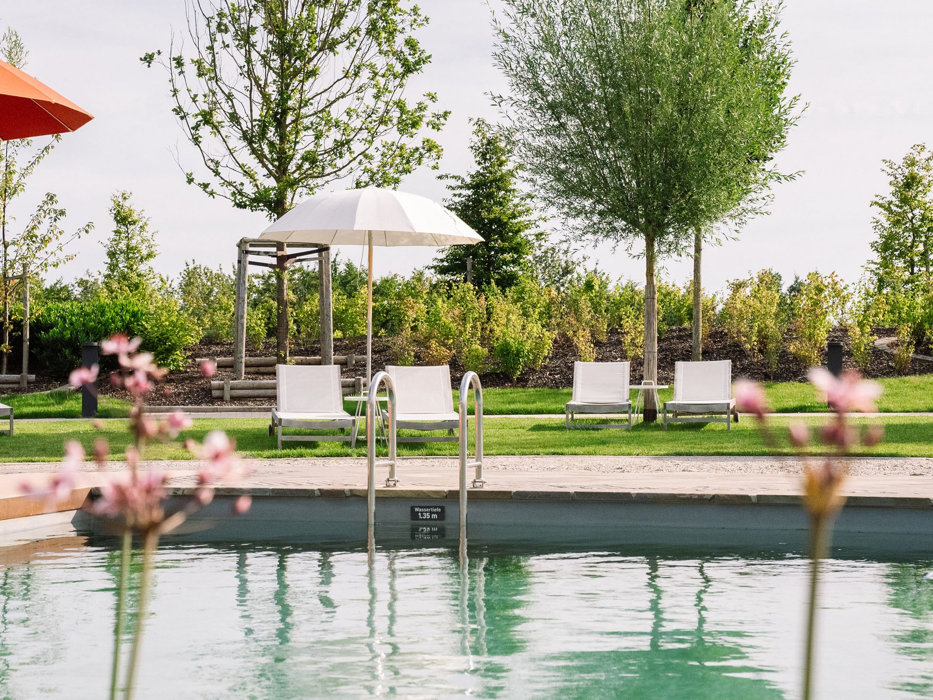 Piscine avec chaises longues et parasols dans un jardin verdoyant