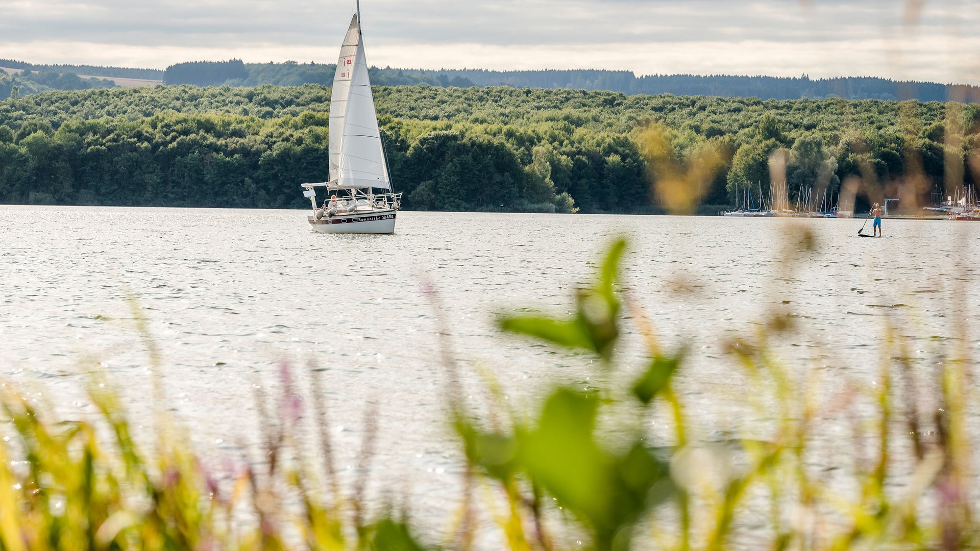 Voilier sur un lac calme avec forêt dense en arrière-plan sous ciel nuageux