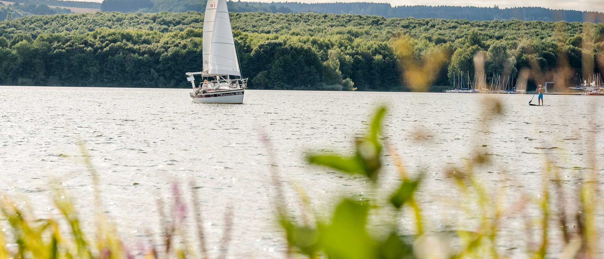 Voilier sur un lac calme avec forêt dense en arrière-plan sous ciel nuageux