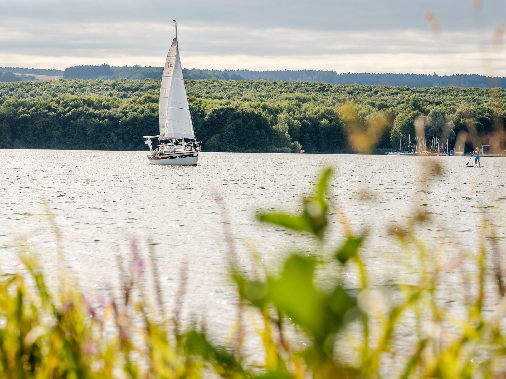 Segelboot auf ruhigem See vor bewaldetem Ufer bei bewölktem Himmel