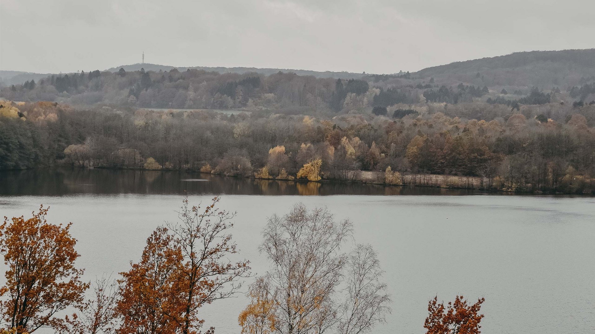 Herbstliche Bäume am Ufer eines Sees unter bewölktem Himmel