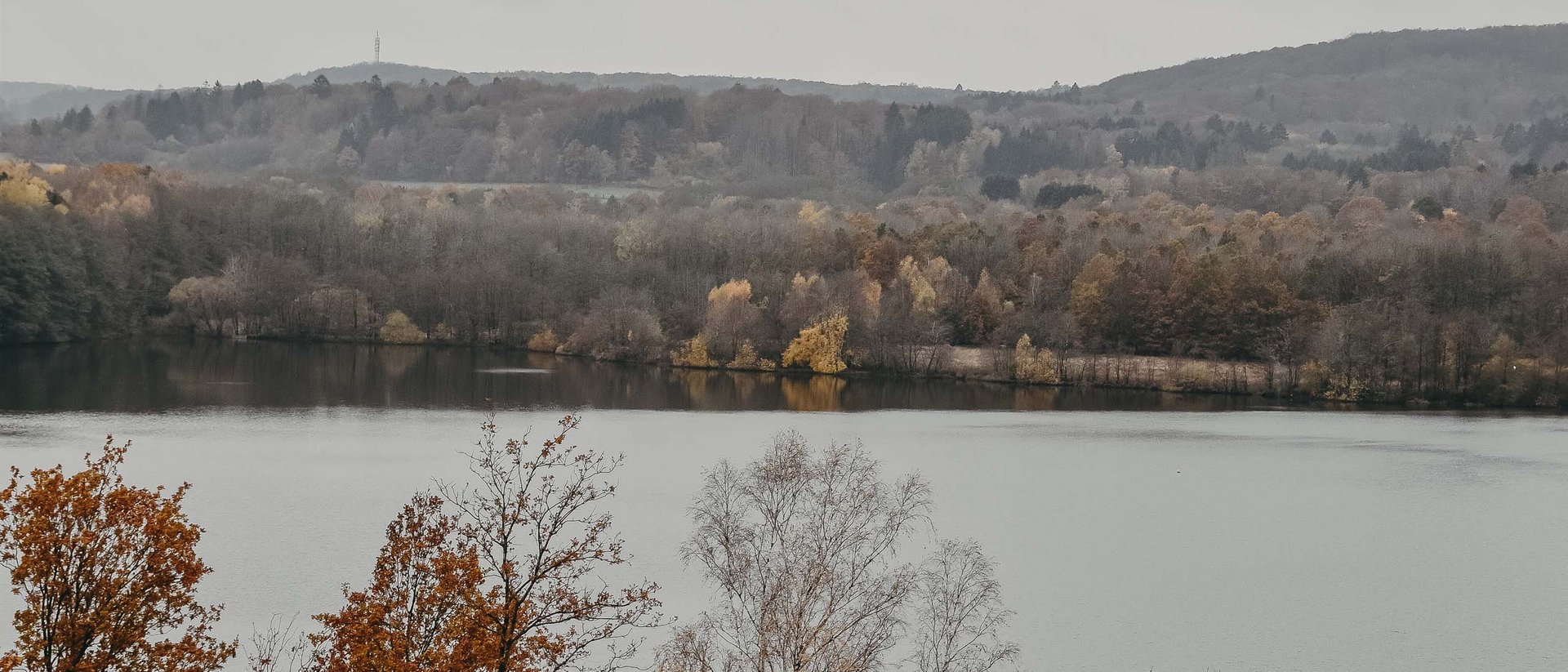 Autumn trees by a lake shore under a cloudy sky