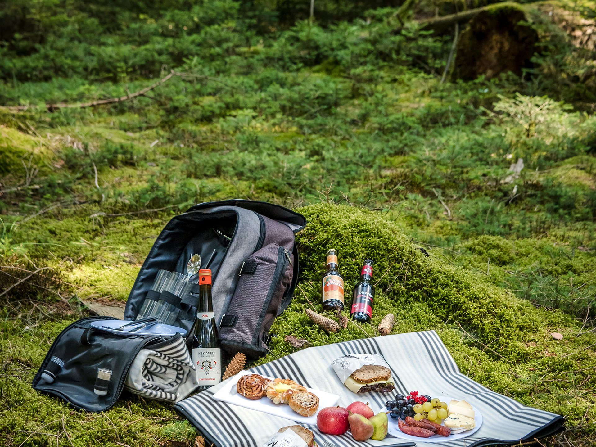 Picnic with food and drinks on a blanket in a green forest